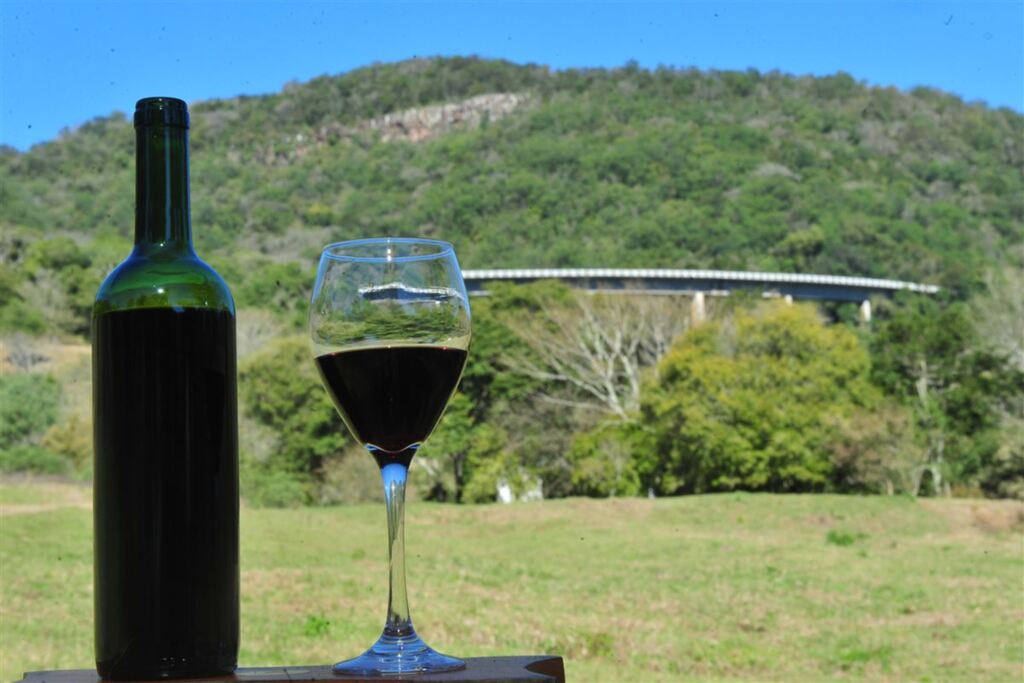 Cursos, encontros e degustações integram o Dia do Vinho em Santa Maria