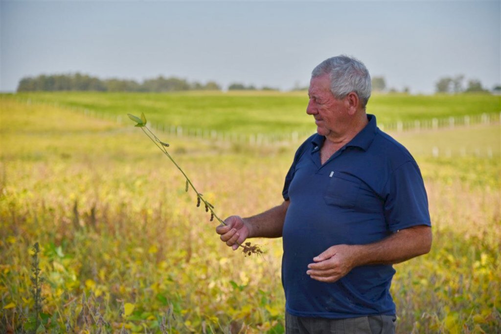 VÍDEO: perdas na agricultura devido à seca já superam R$ 1 bilhão na região