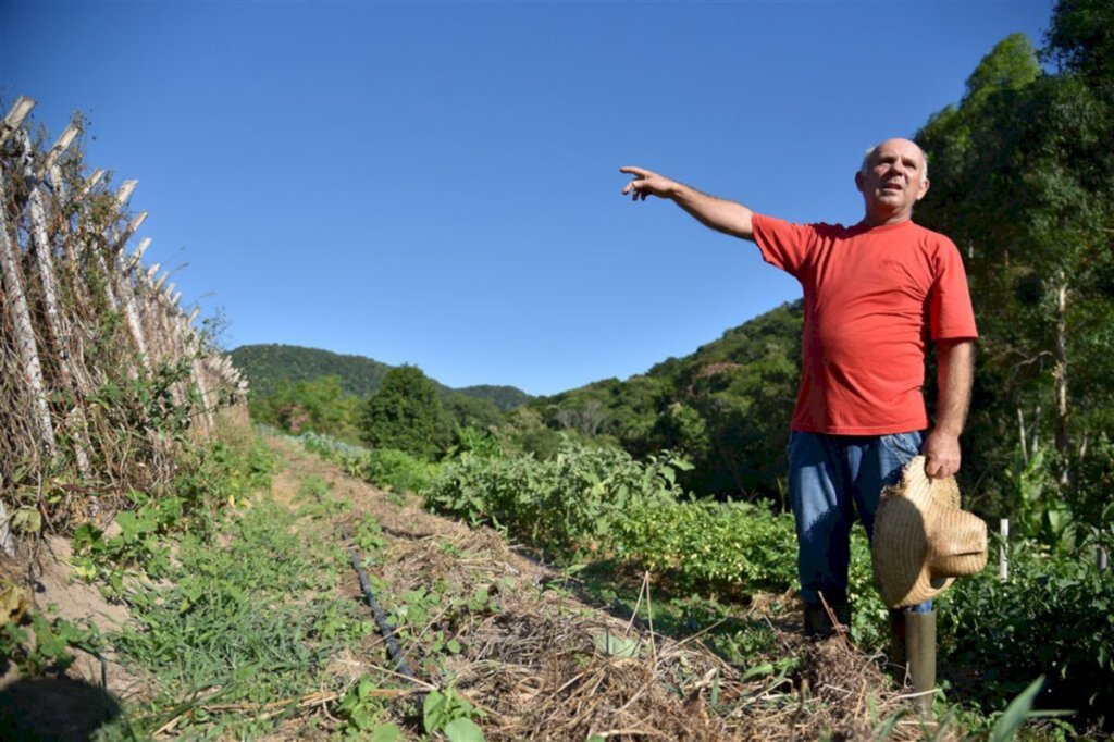 Foto: Gabriel Haesbaert (Diário) - 
