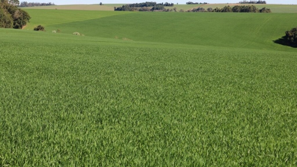 Foto;  José Schafer / Divulgação Emater - 