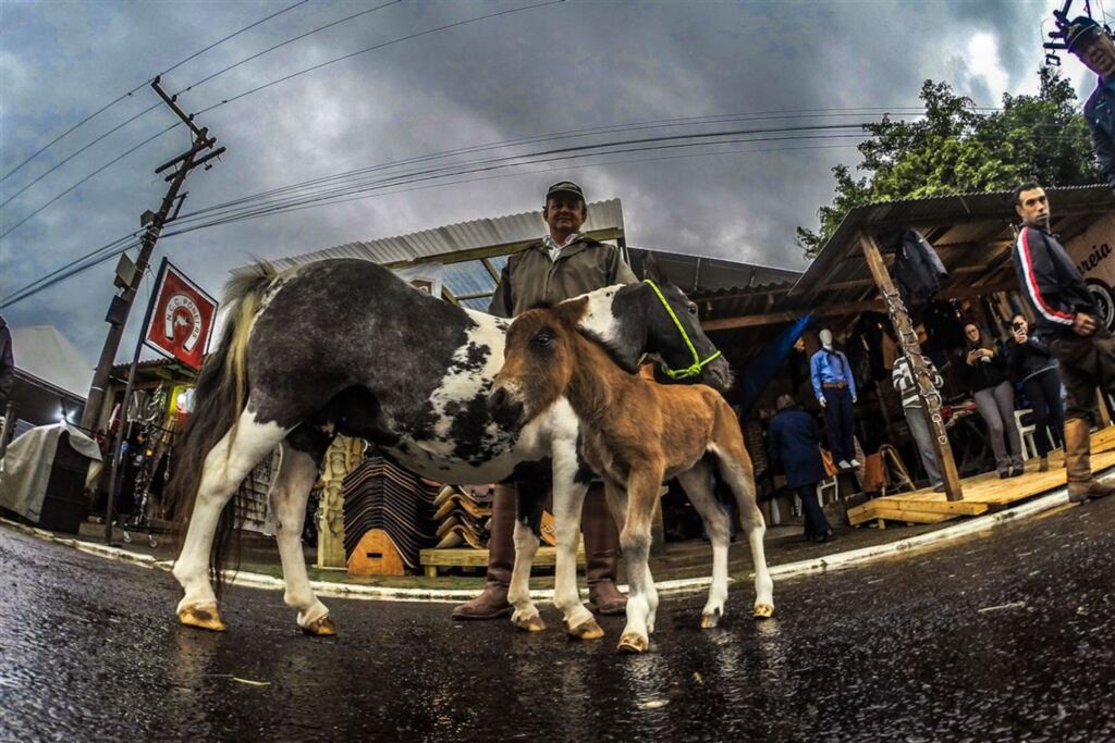 Foto: Evandro Leal (Arquivo Diário) - 
