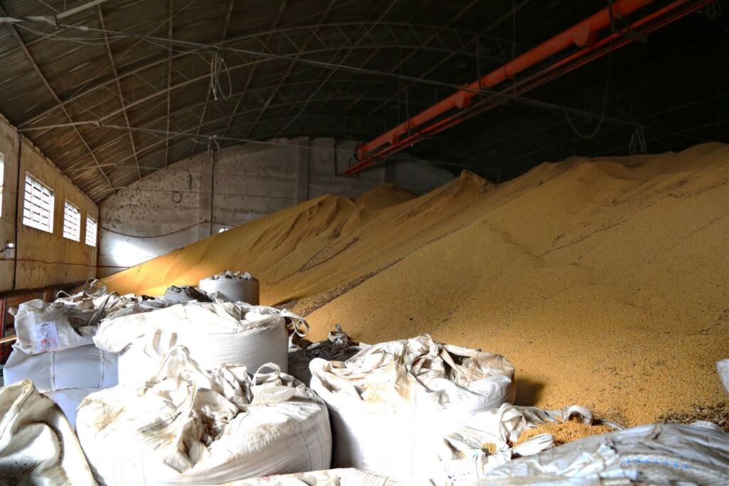 Preço da soja cai, mas produtores vivem clima de expectativa