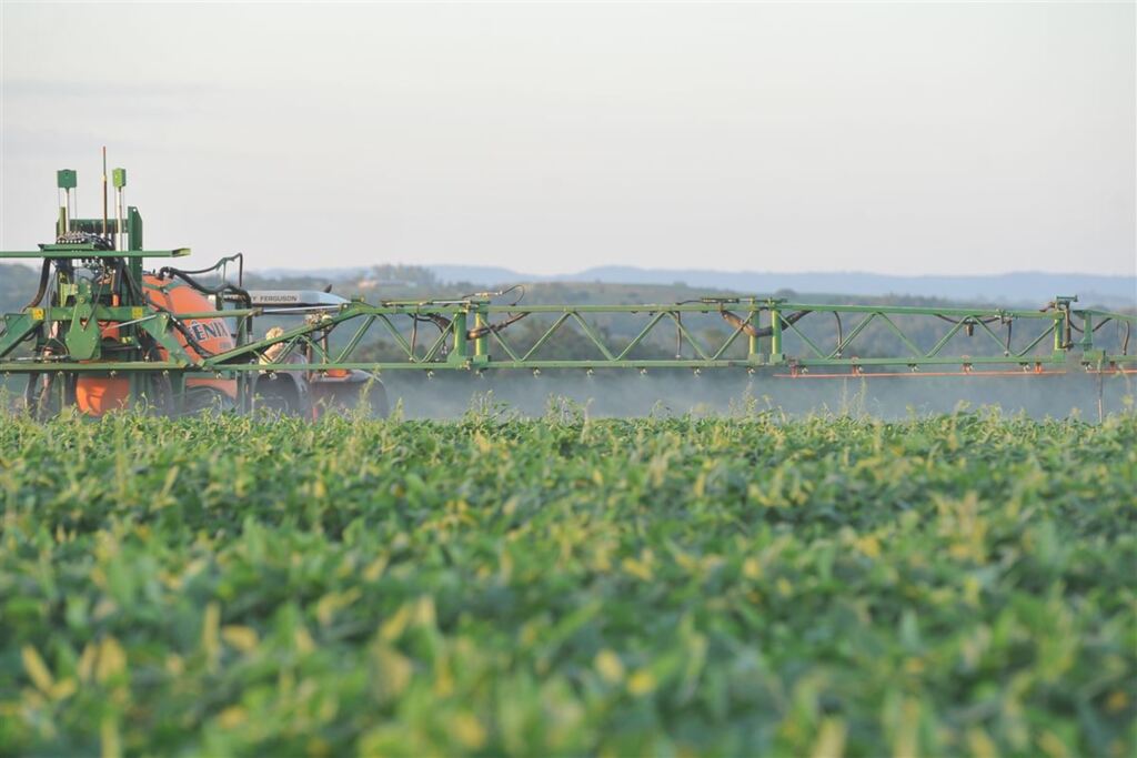 A polêmica do agrotóxico 2,4-D precisa de solução, avalia colunista