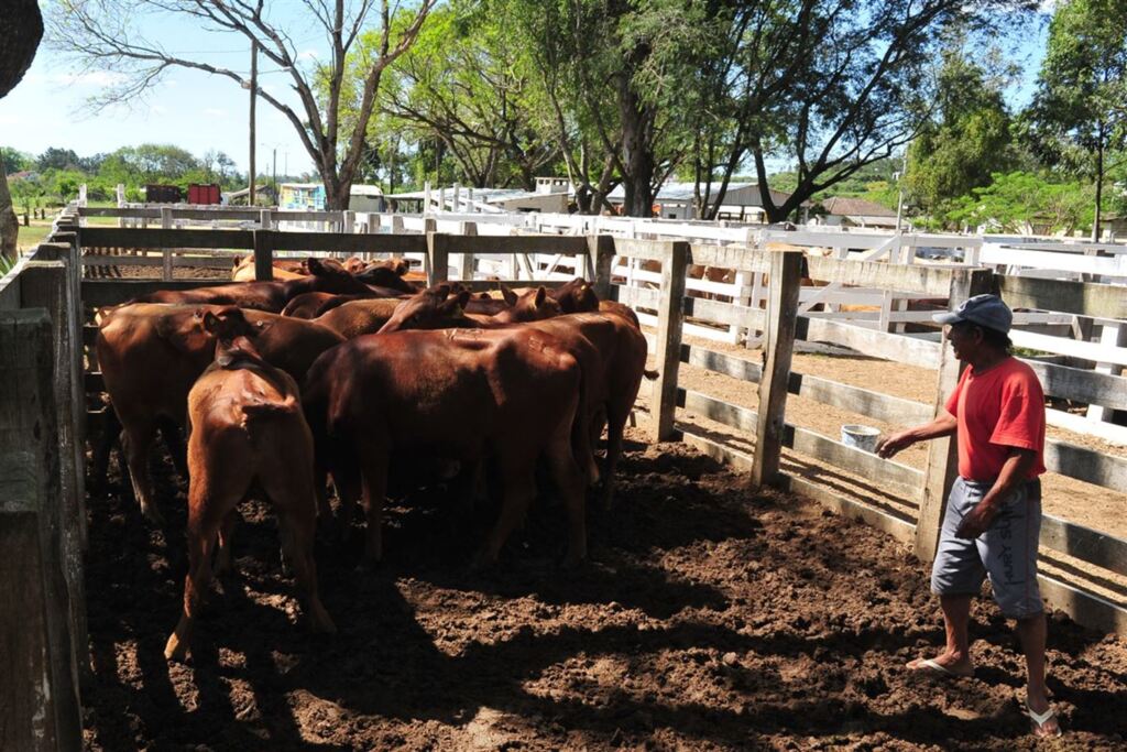 título imagem Valor da Produção Agropecuária é estimado em R$ 564,3 bilhões para 2019