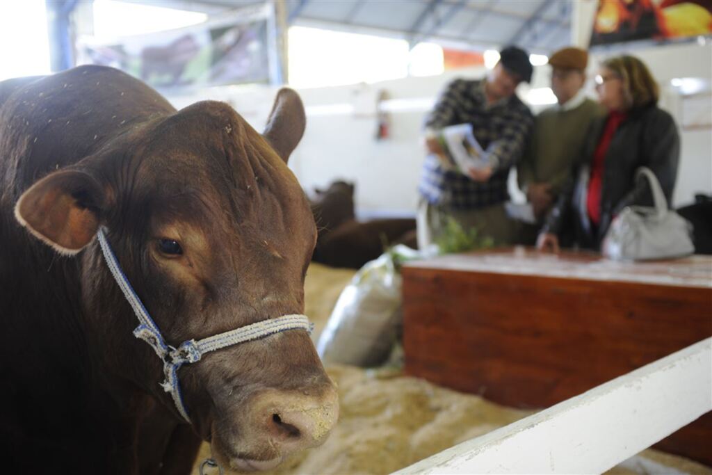 Produtividade da agropecuária cresce 3,43% ao ano no Brasil