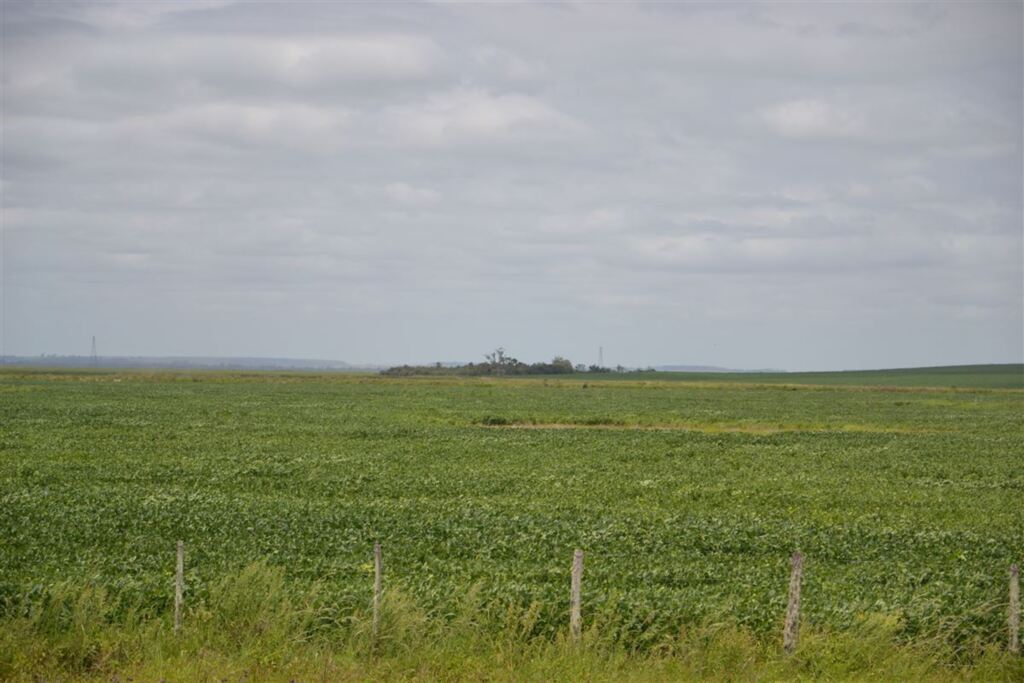 Foto: Deni Zolin (Diário) - 