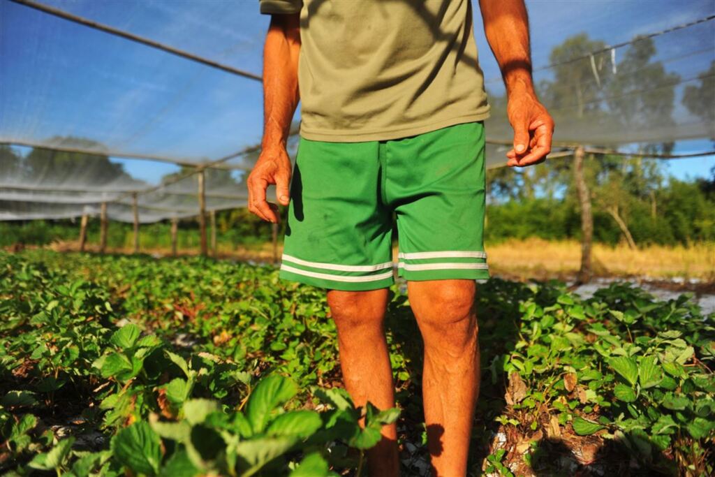 Foto: Lucas Amorelli (Arquivo Diário) - 