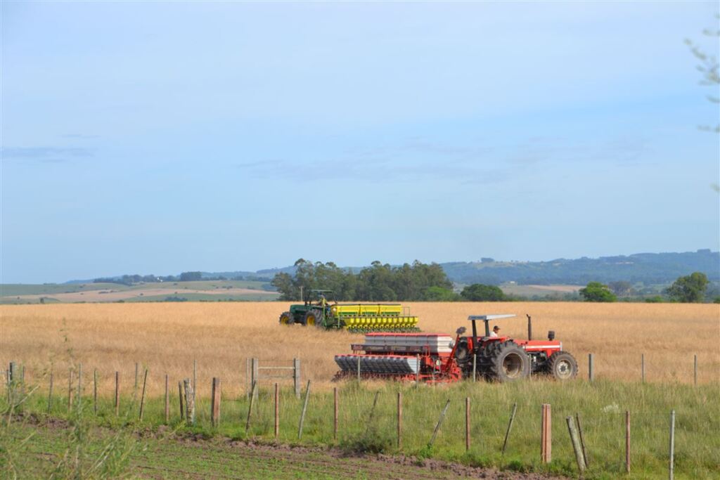 Foto: Deni Zolin (Diário) - 