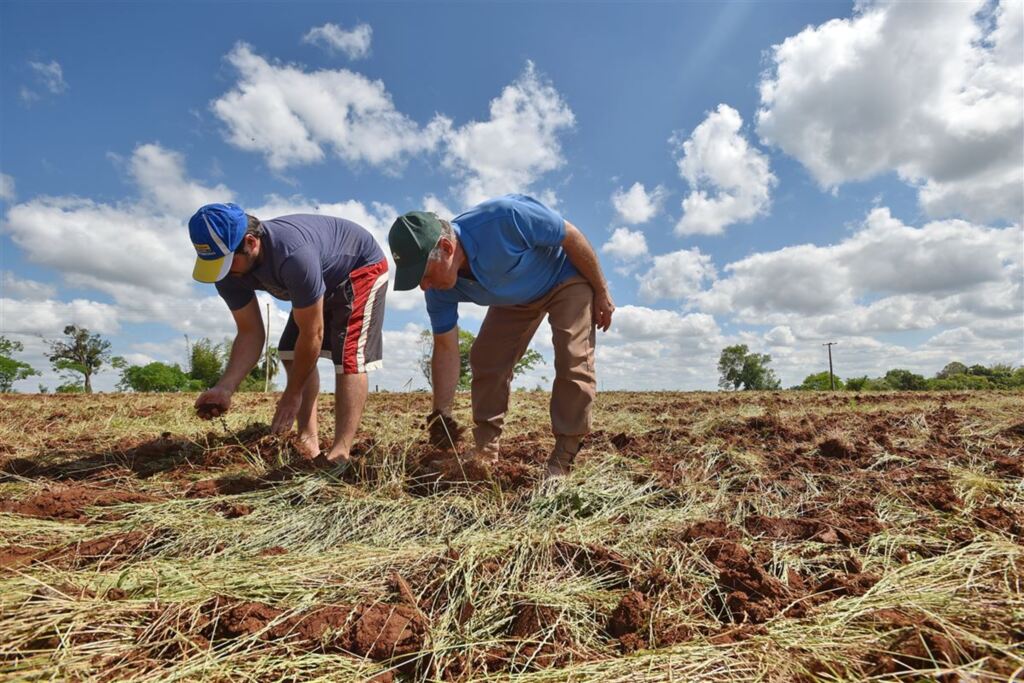 Foto: Gabriel Haesbaert (Diário) - 