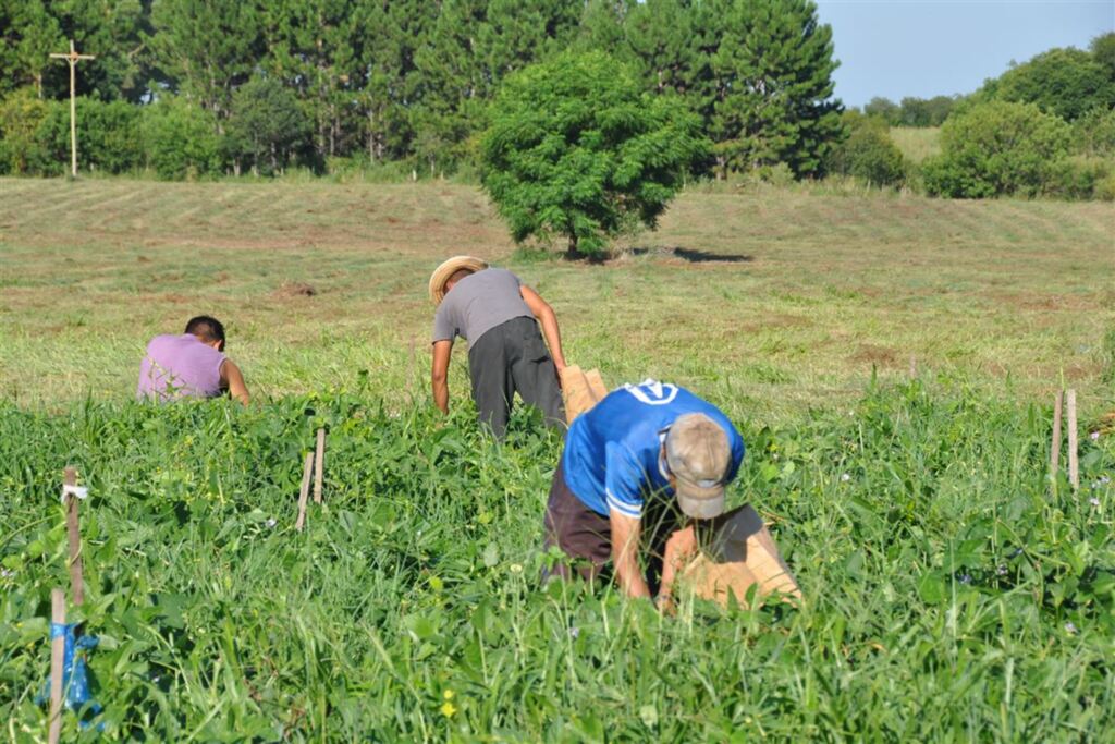 Foto: Solange Brum (Divulgação) - 