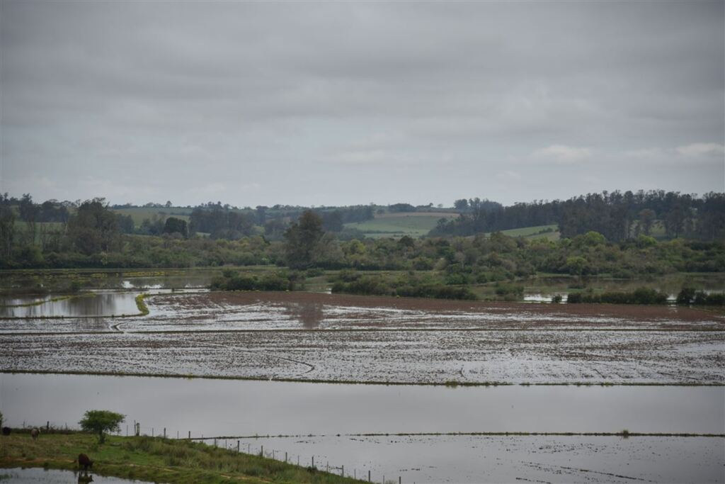 Foto: Gabriel Haesbaert (Diário) - 