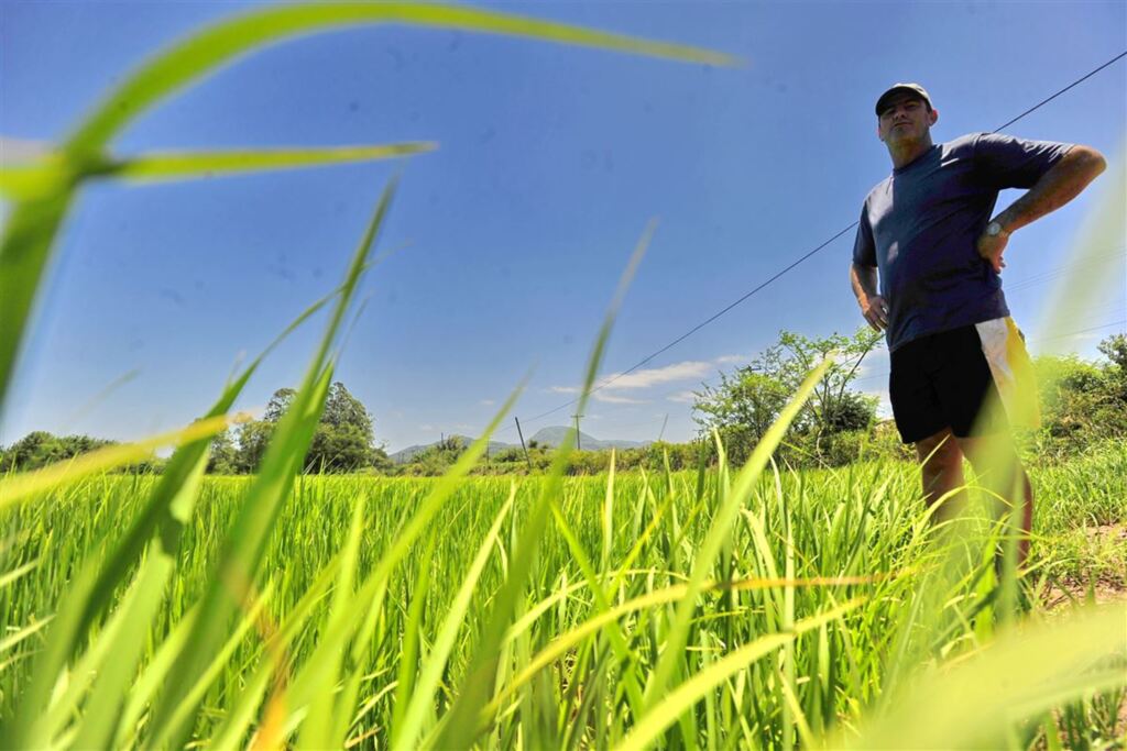 Foto: Gabriel Haesbaert (Diário) - 
