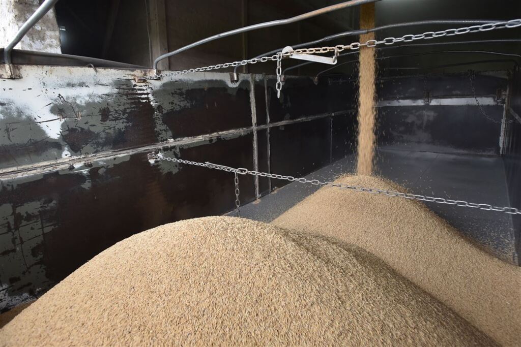 Foto: Gabriel Haesbaert (Diário) - 