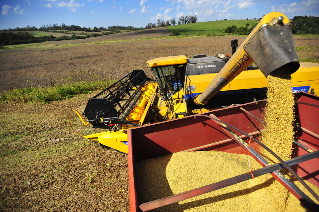 Colheita de soja na Região registra crescimento da produtividade