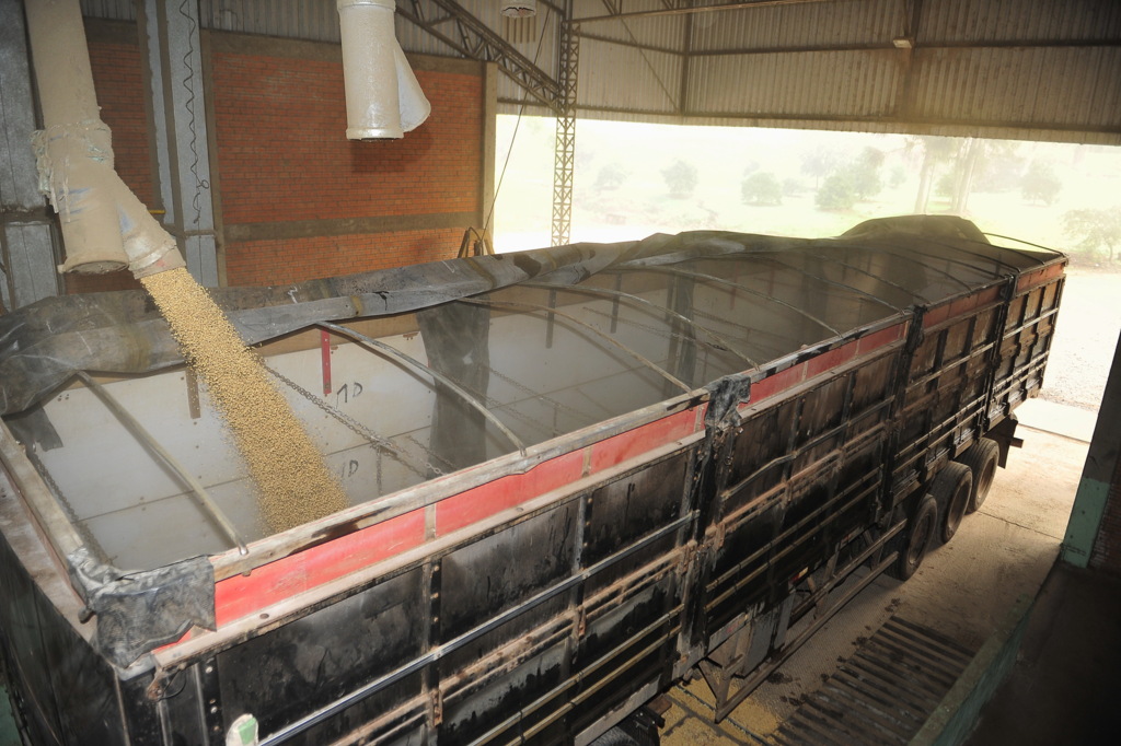 Foto: Gabriel Haesbaert (Arquivo Diário) - 