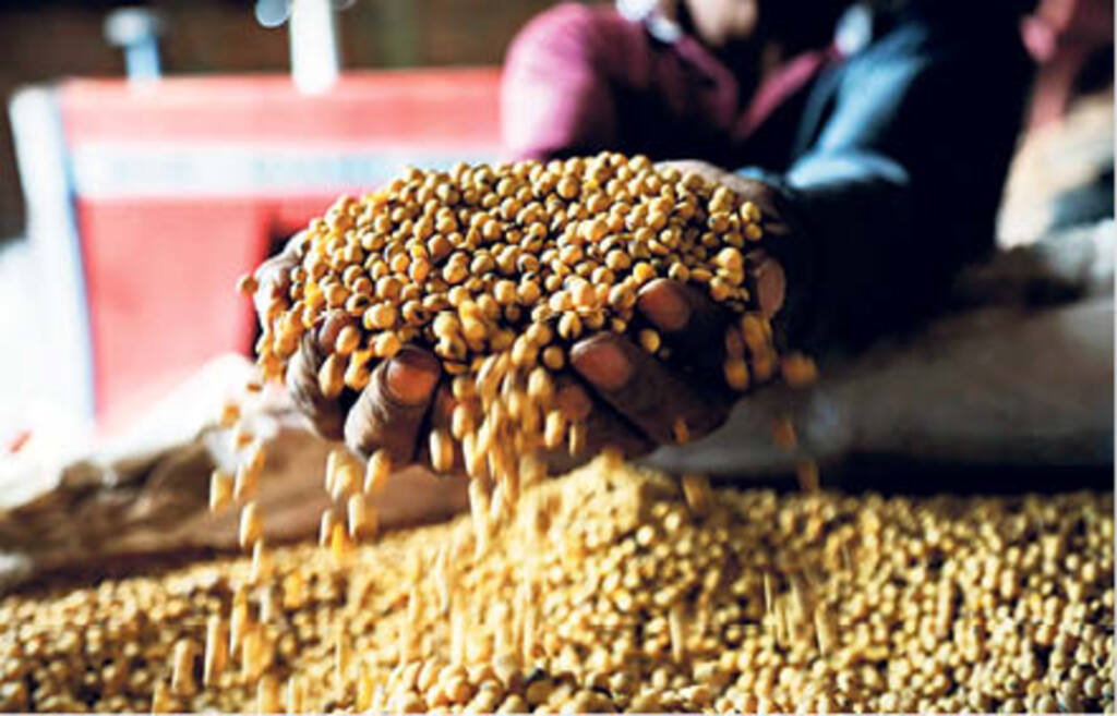 Foto: Lucas Amorelli (Diário) - Seca na Argentina, disputa comercial entre EUA e China e alta do dólar elevam preços do grão