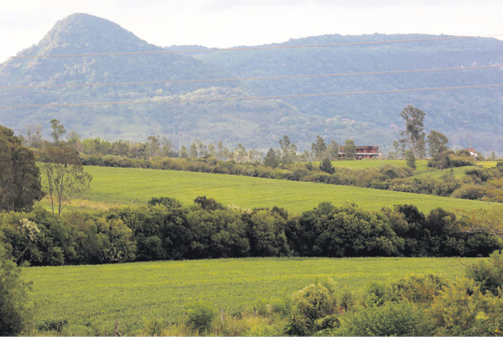 Foto: Charles Guerra (Diário) - Em algumas cidades, produtividade das lavouras deve cair até 30%