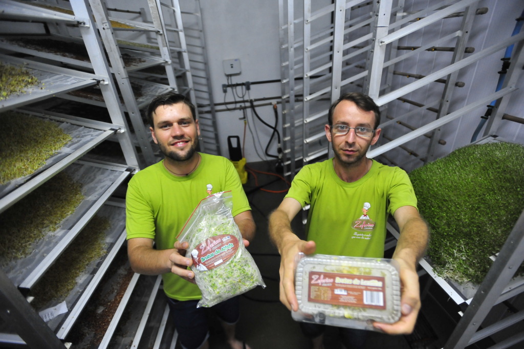 Produção de brotos comestíveis é aposta de jovens empreendedores