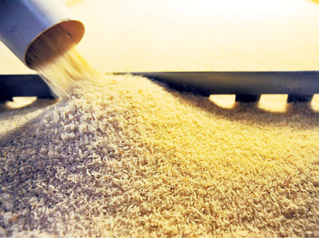 Associação pede fiscalização de arroz de fora