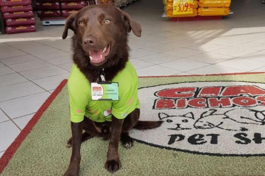 Márcia Streppel / Arquivo pessoal - 