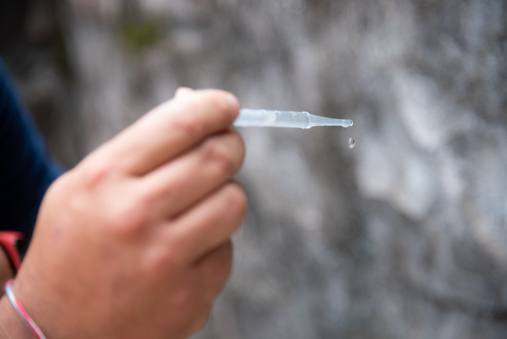 Óbitos por dengue no Estado se concentram na população idosa