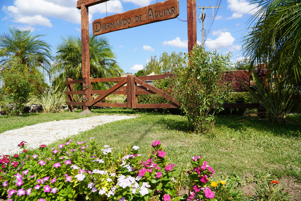 Dilermando de Aguiar: modernização e revitalização 