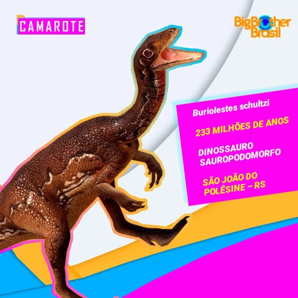 título imagem BBB dos dinos: quem seria quem se os fósseis da região entrassem no Big Brother?