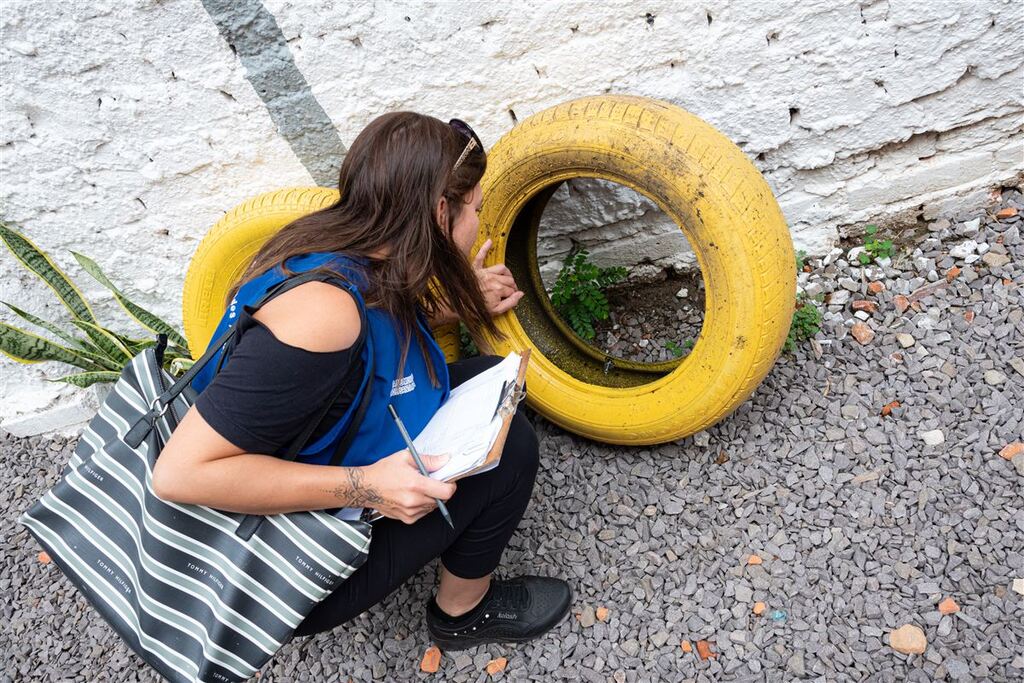 título imagem Região Oeste contabiliza 52% dos casos de dengue em Santa Maria