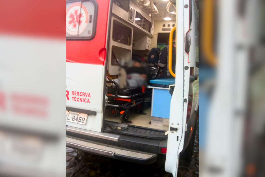 título imagem Idosa é atacada por três cães na região norte de Santa Maria