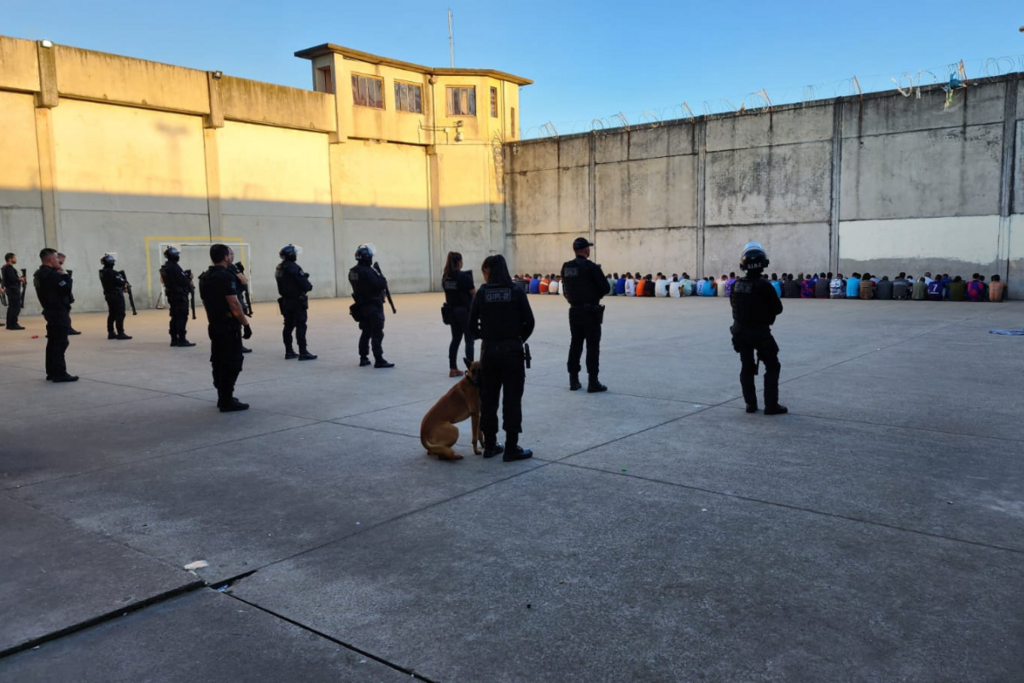 Foto: Susepe (Divulgação) - 