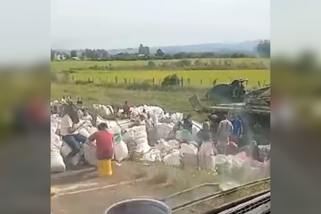 título imagem Após tentar furtar carga de caminhão tombado, saqueadores espalham soja na rodovia e fogem em Santa Maria
