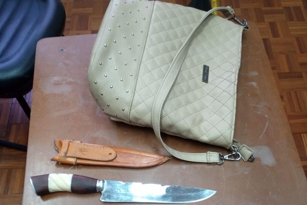 Foto: Rafael Nemitz (Divulgação) - 