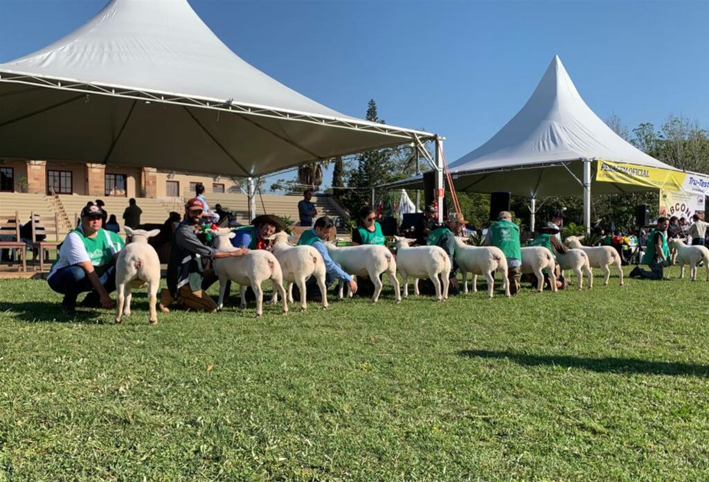 Foto: Lorena Riambau Garcia (Divulgação) - 