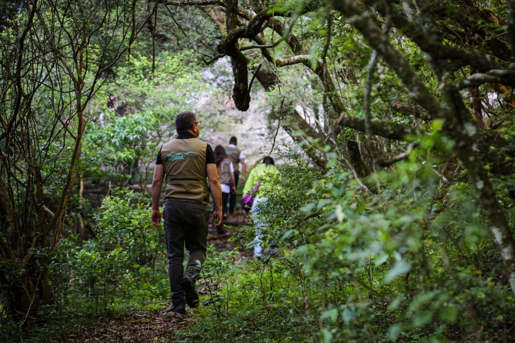 Autoridades estaduais repercutem o reconhecimento dos geoparques Caçapava do Sul e Quarta Colônia pela Unesco