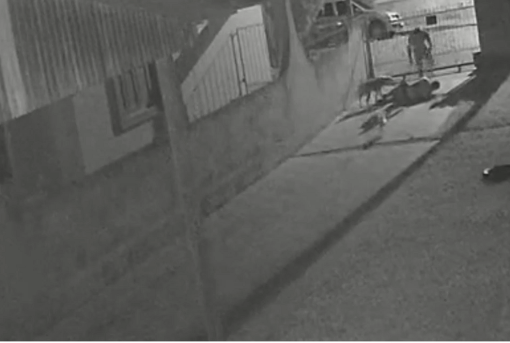 VÍDEO: Imagens mostram momento de assassinato em crime passional