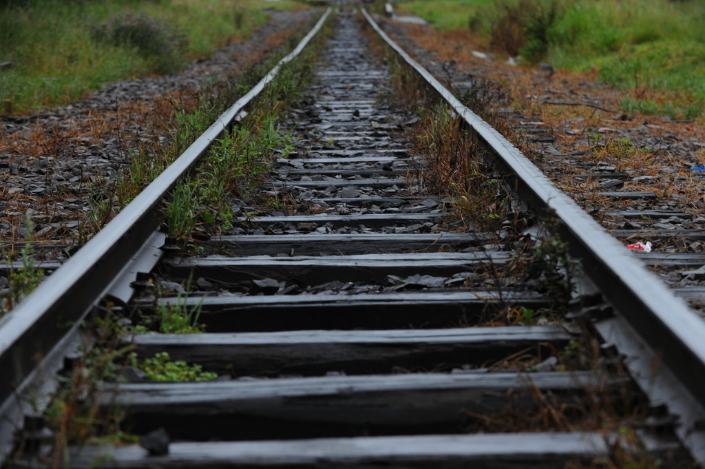Homem atropelado por trem estava indo visitar a filha, afirma ela
