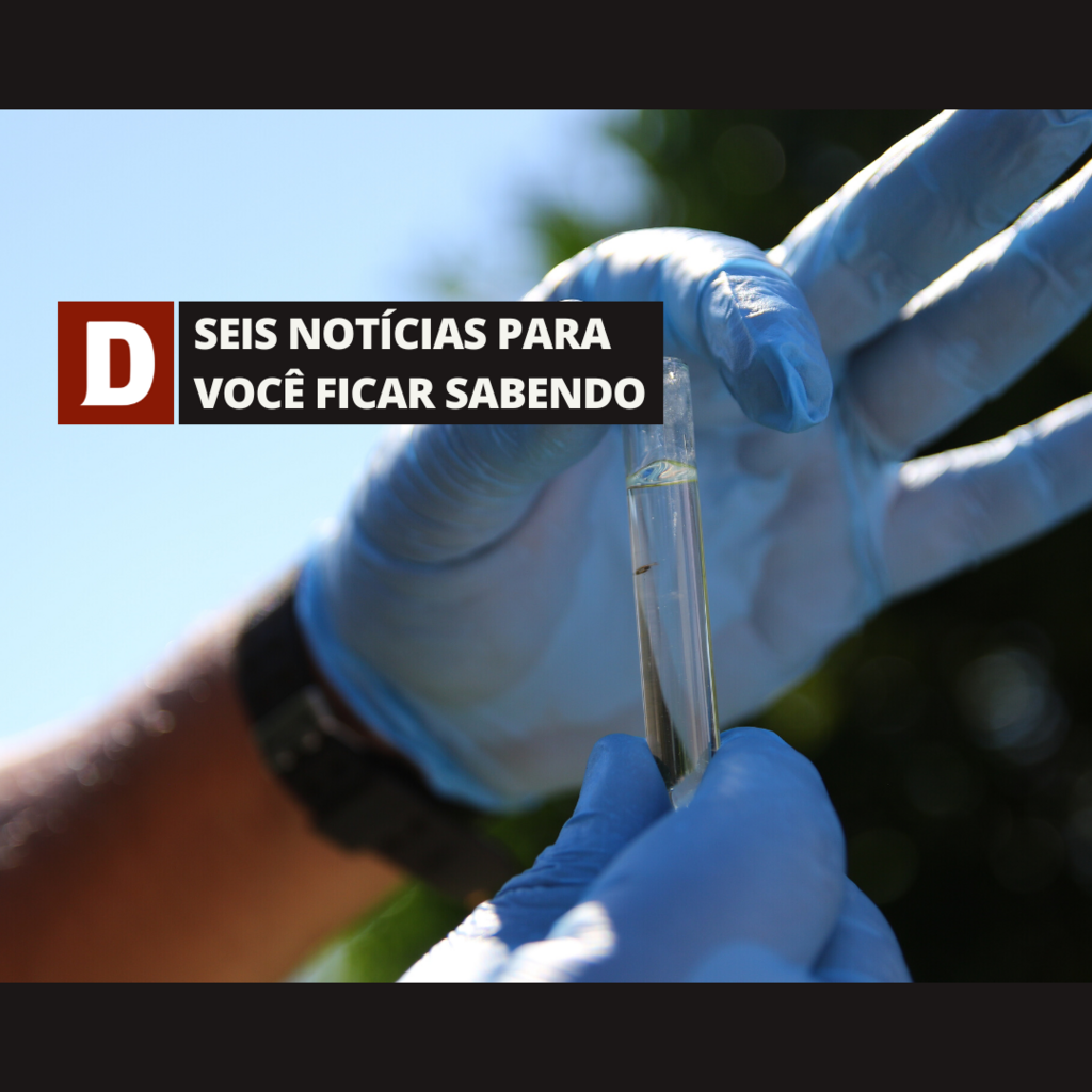 Terceira morte por dengue é confirmada em Santa Maria e outras notícias 5 notícias 
