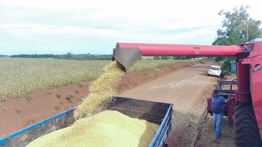 título imagem Colheita chega ao fim na região: quebra de 50% na soja e de 4% no arroz