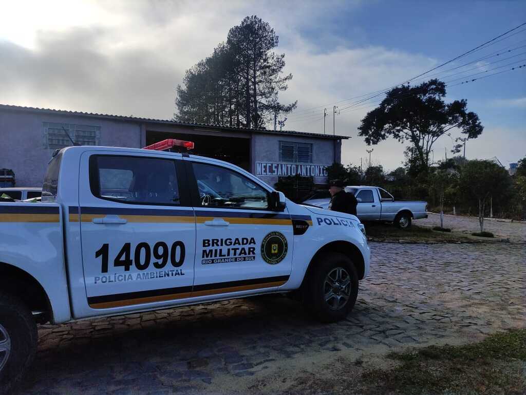 título imagem Operação de combate a crimes ambientais fiscaliza focos de desmatamento e poluição na Região Central