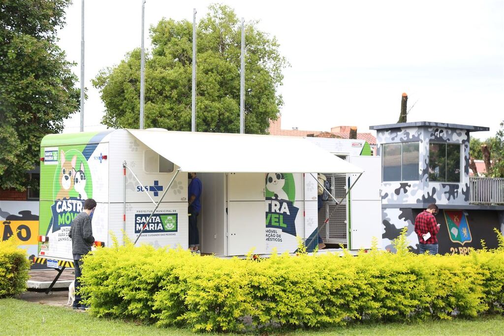 Castramóvel reabre inscrições para cirurgias em fêmeas caninas e felinas