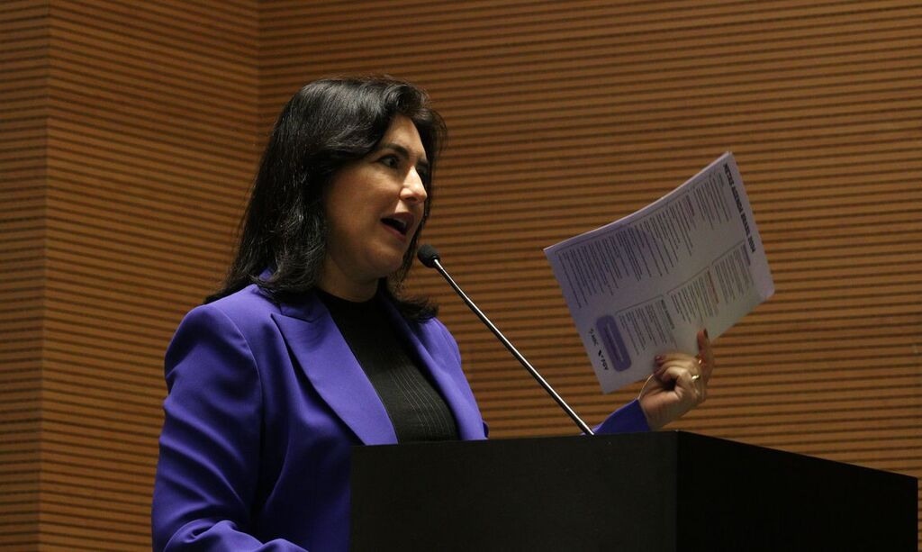 Ministra do Planejamento diz que sem arcabouço fiscal faltaria dinheiro para despesas do governo