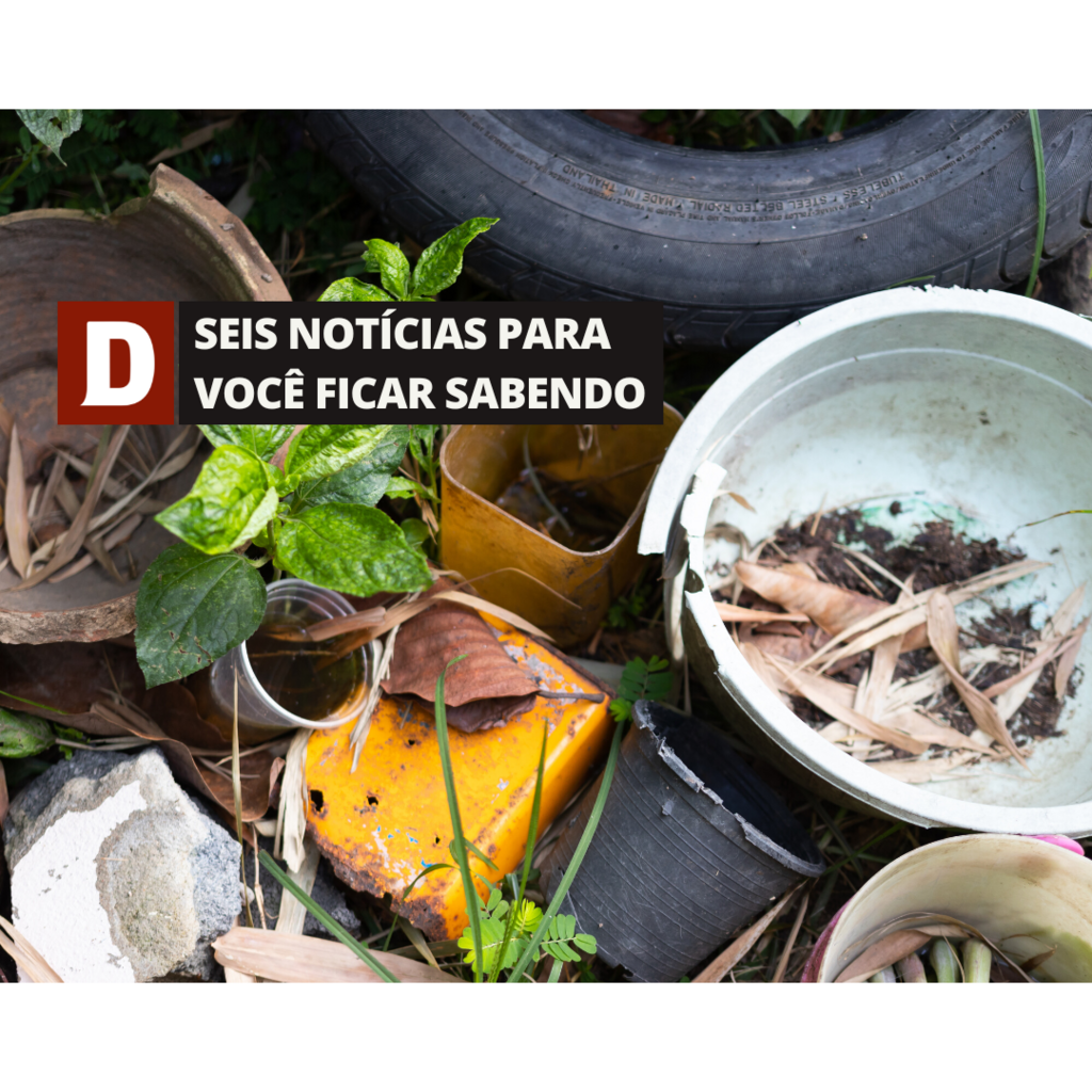 Região oeste de Santa Maria já tem 22 casos de dengue e outras 5 notícias para você ficar sabendo nesta quarta