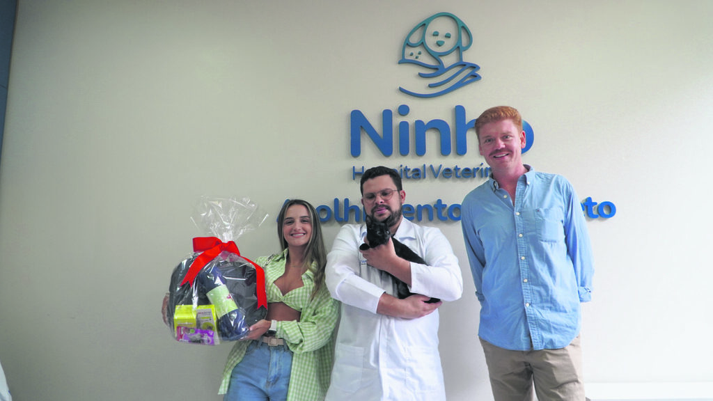 Gatinho Pirulito Preto tem consulta no Ninho Hospital Veterinário