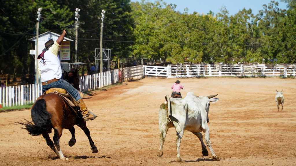 <strong>Começa o Rodeio Internacional do Conesul; confira como foi o primeiro dia</strong>