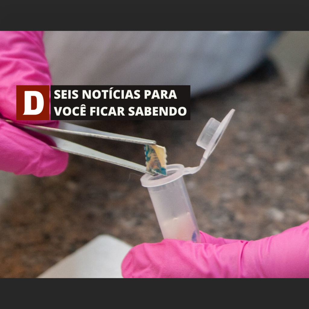 Nova droga é descoberta em Santiago e outras 5 notícias para você ficar sabendo