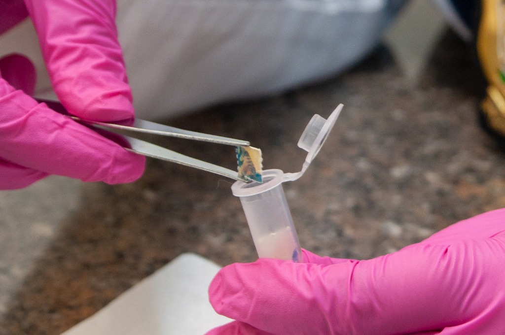 Droga apreendida em Santiago é novidade no RS, afirma IGP