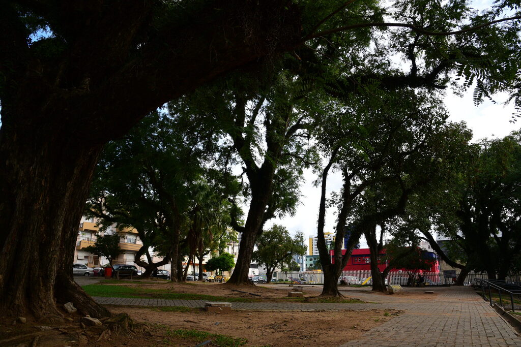 Santa Maria recebe primeiro Encontro da Rede Cannábica Sul neste domingo