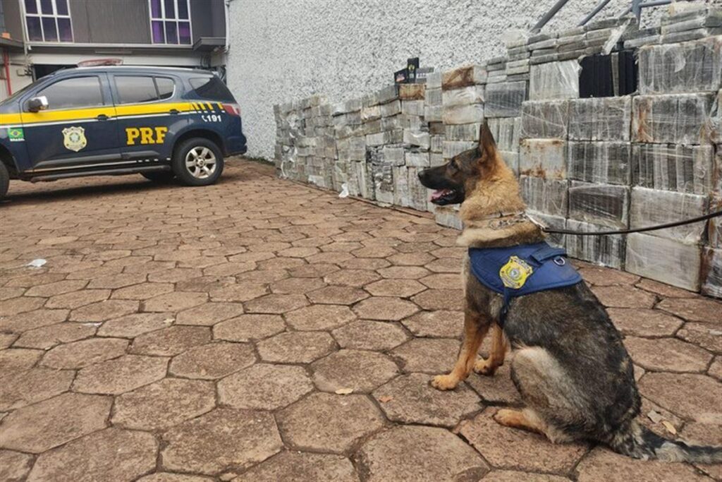 PRF faz a maior apreensão única de cocaína da história da corporação