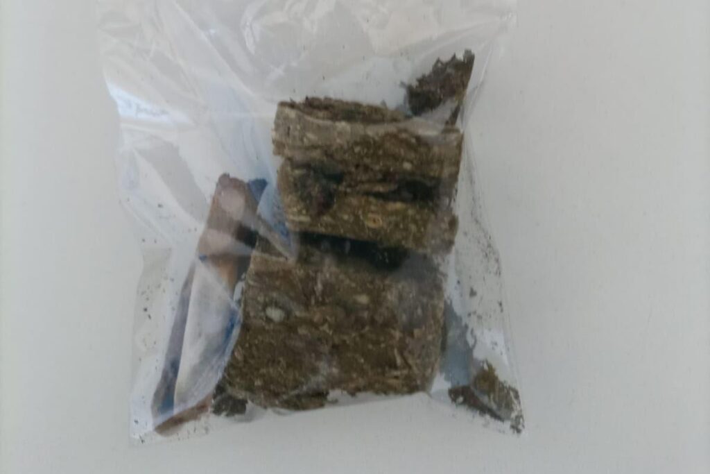 Jovem é detido com porção de maconha São Pedro do Sul