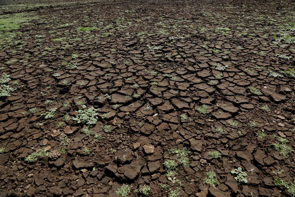 Após o município decretar situação de emergência, qual o próximo passo? Diário Explica